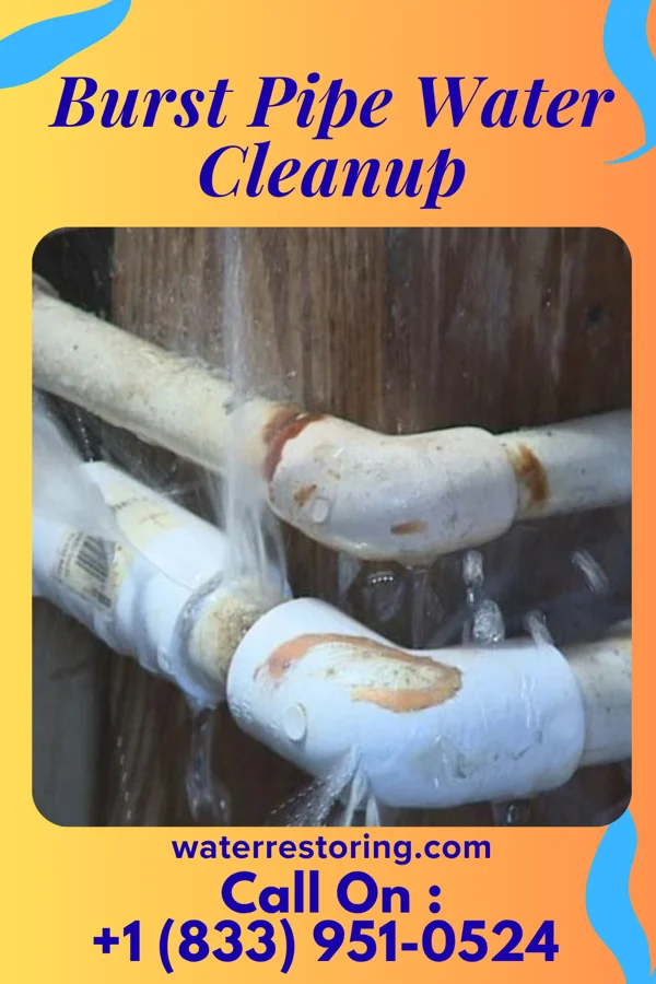 Burst Pipe Water Cleanup in Hayti, PA