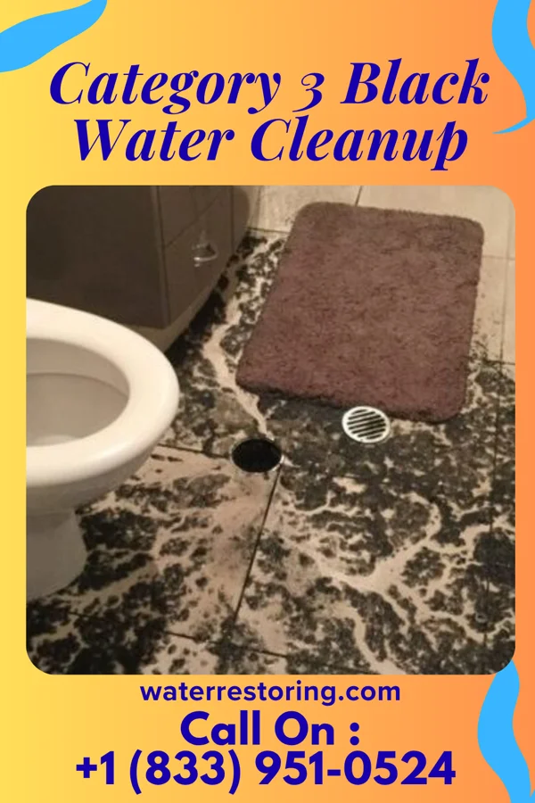 Category 3 Black Water Cleanup in Hayti, PA