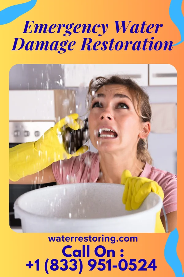 Emergency Water Damage Restoration in Hayti, PA