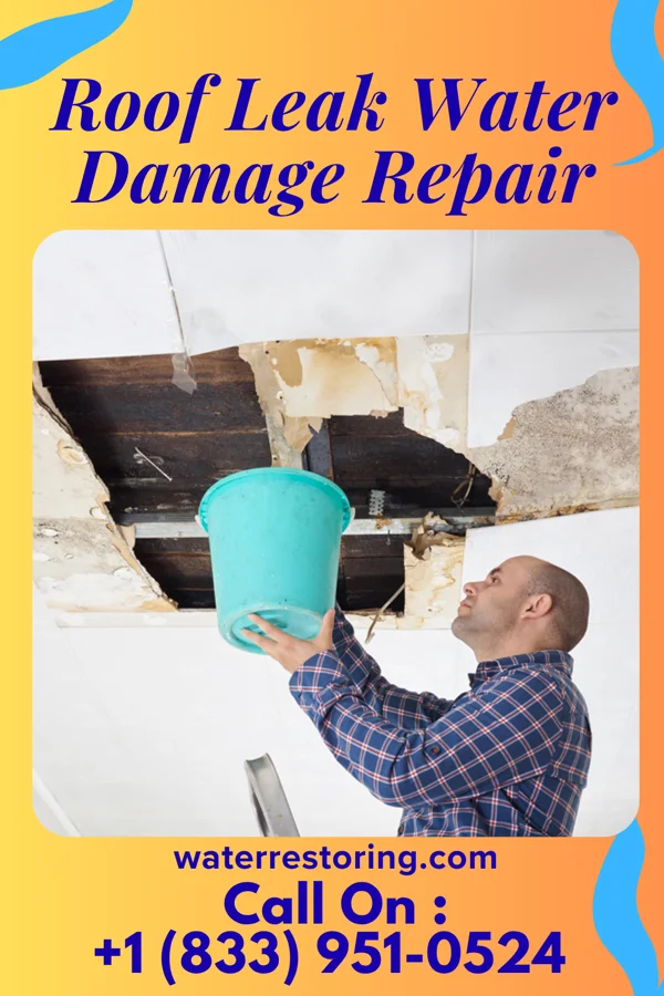 Roof Leak Water Damage Repair in Hayti, PA