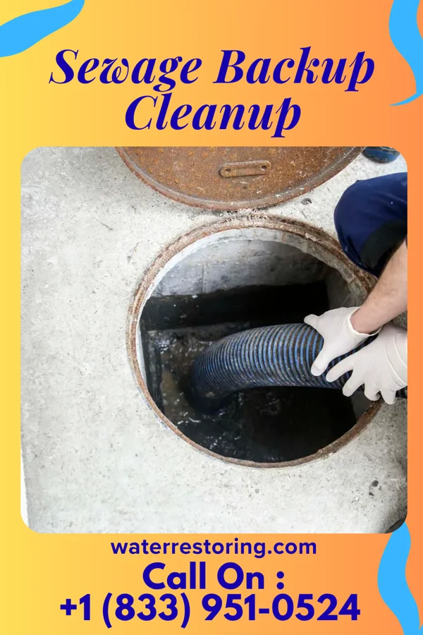 Sewage Backup Cleanup in Hayti, PA