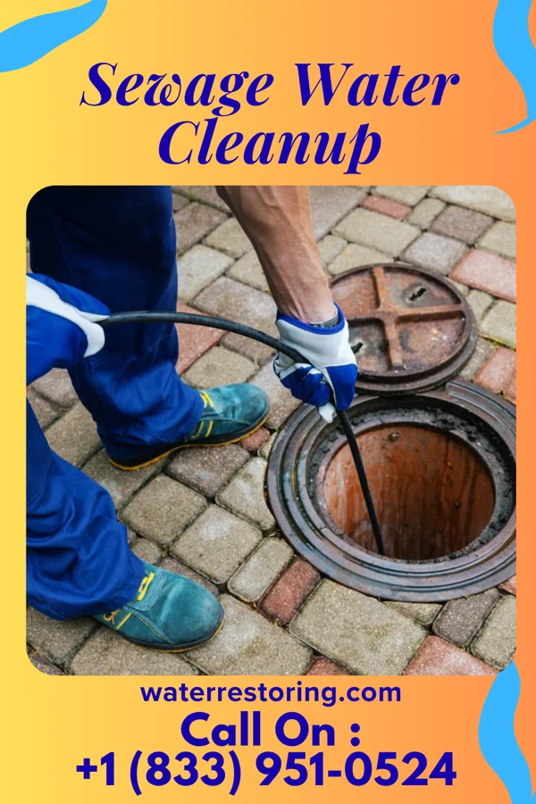 Sewage Water Cleanup in Hayti, PA
