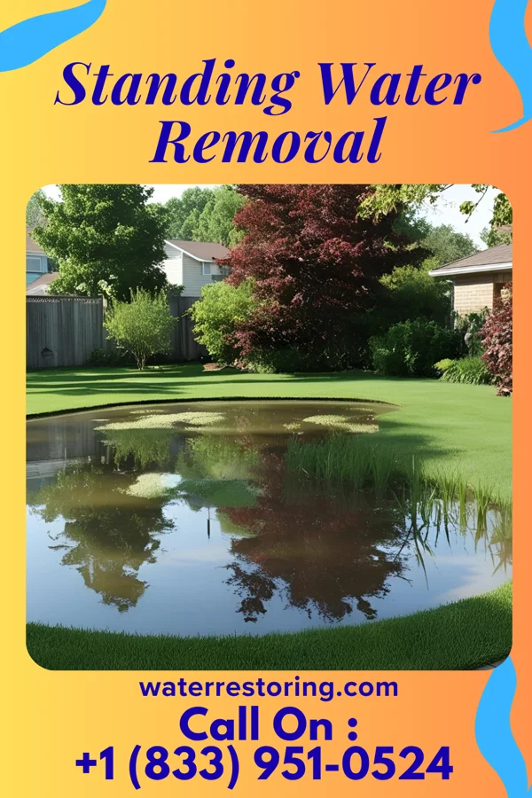 Standing Water Removal in Hayti, PA